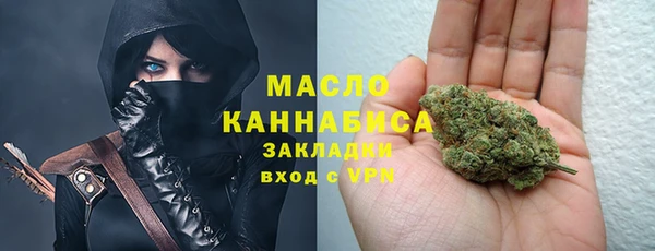 мдпв Ладушкин