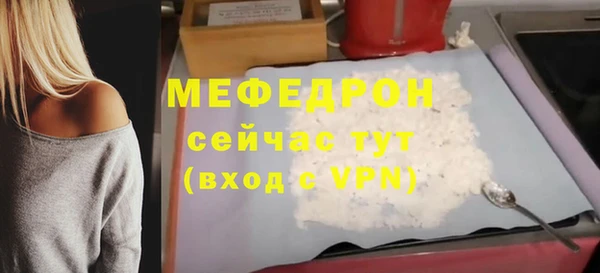мдпв Ладушкин