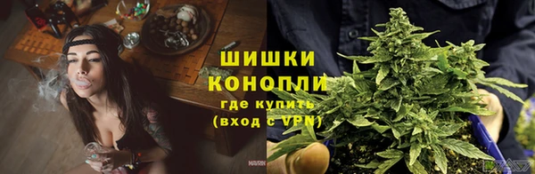 спиды Лабытнанги