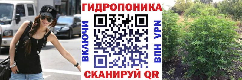 Канабис сатива Бирюсинск