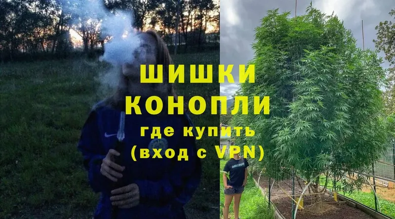 магазин    Бирюсинск  Конопля THC 21% 